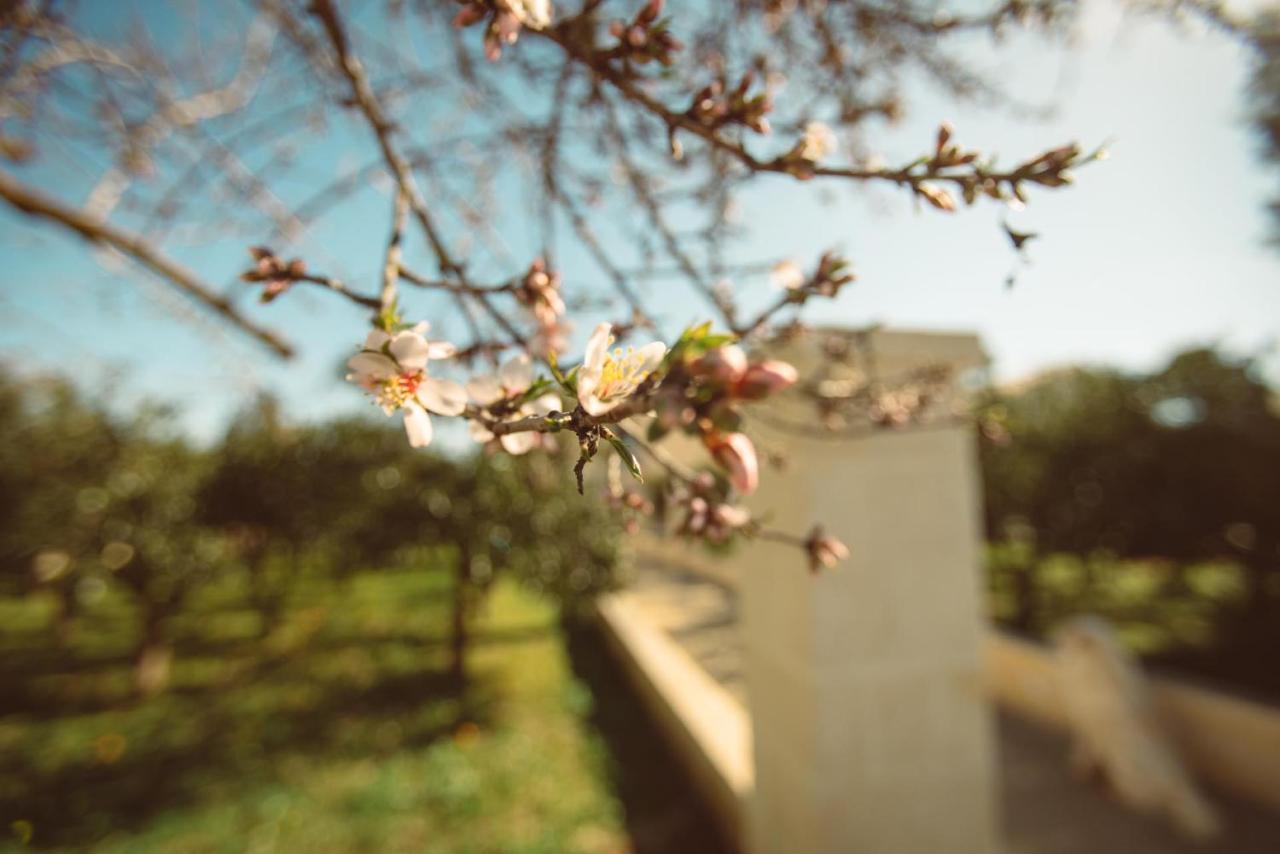 Masseria Gagliardi Taranto Luaran gambar